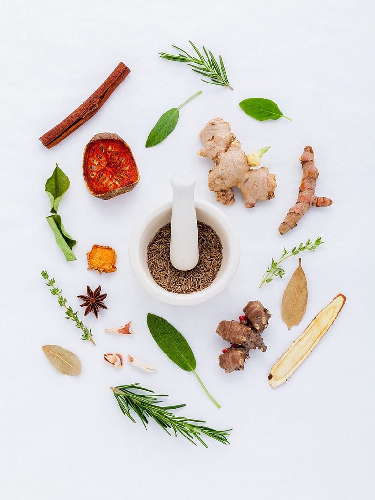 The Timeless Tradition of Herbal Therapy